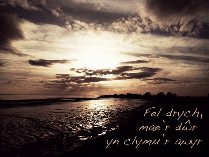 Fel drych