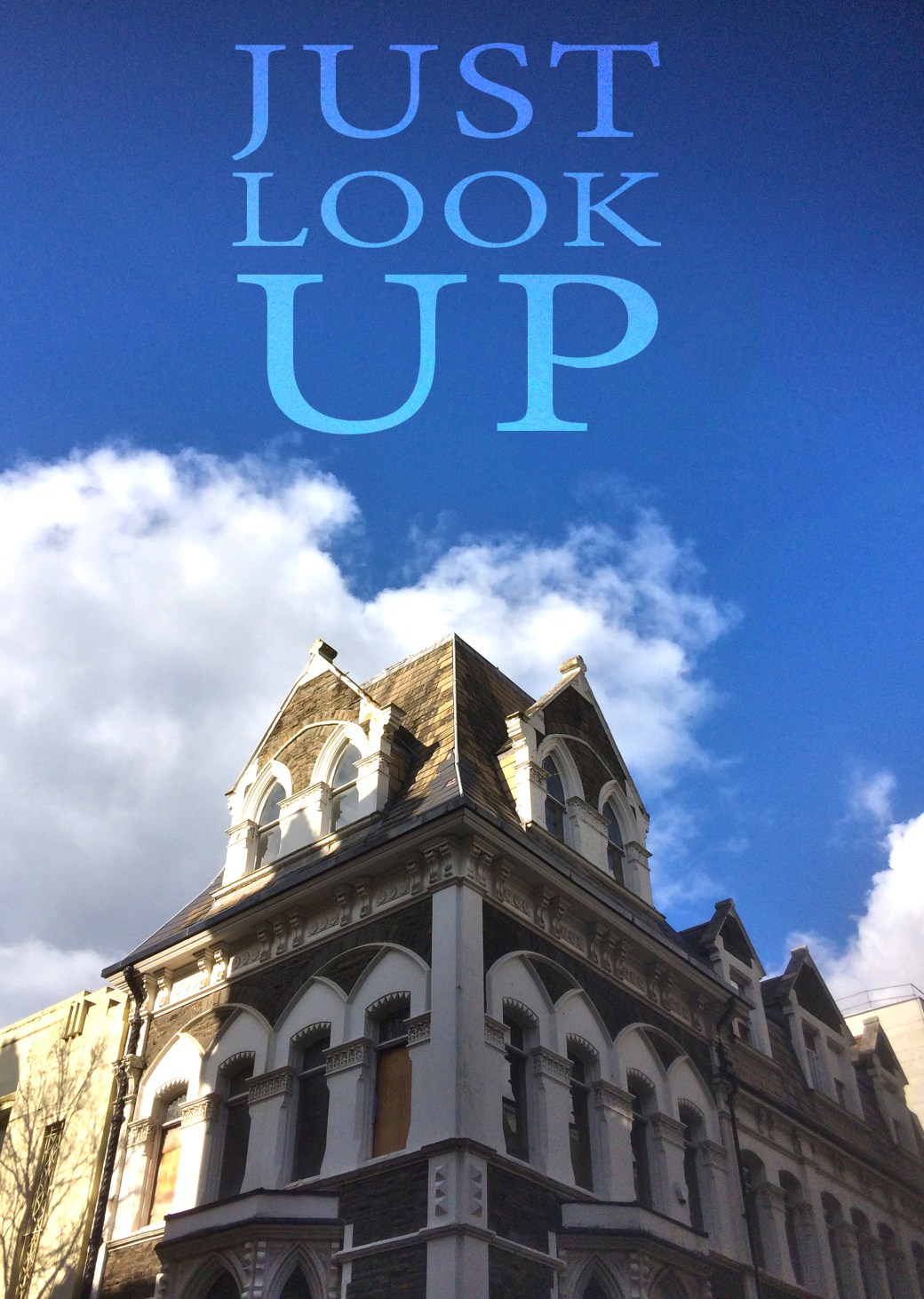 IMG_1533 just look up