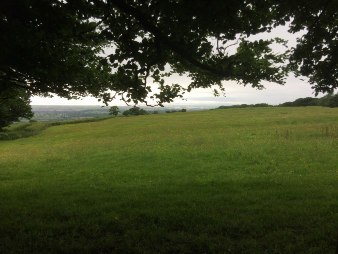 fields