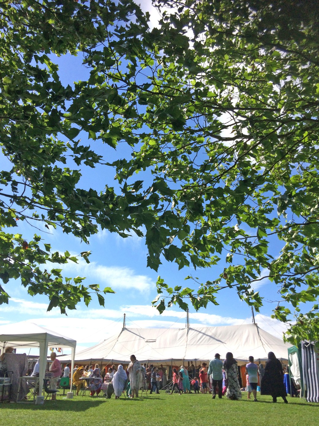 MF Main stage and trees