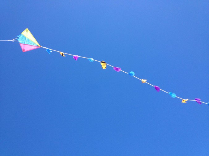 Kite photo