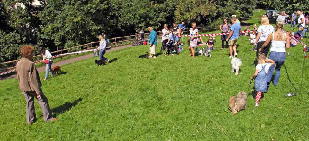 Woodland Park Dog Show 2017 IMG_9880