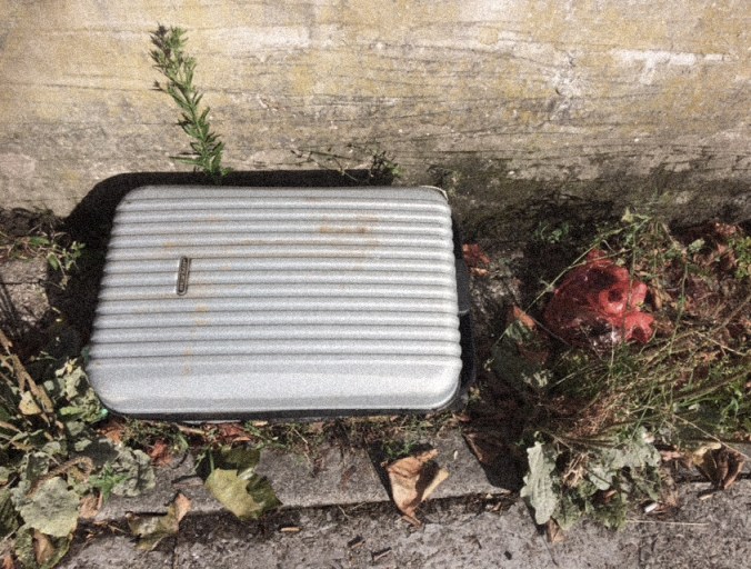 Rubbish - case