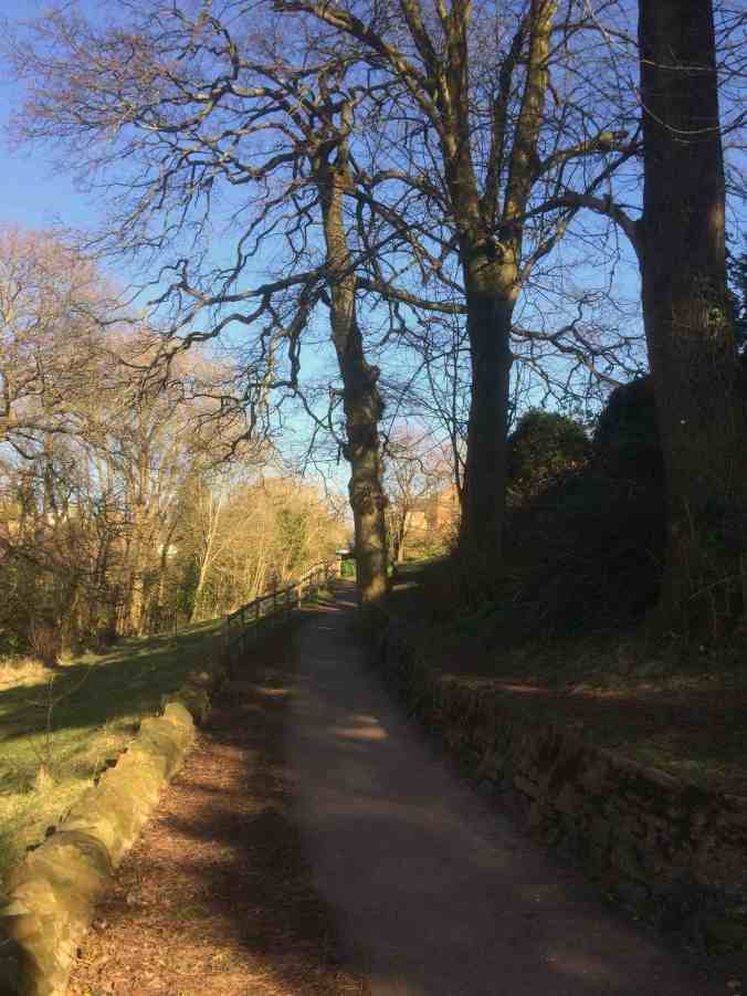 Woodland Park 04