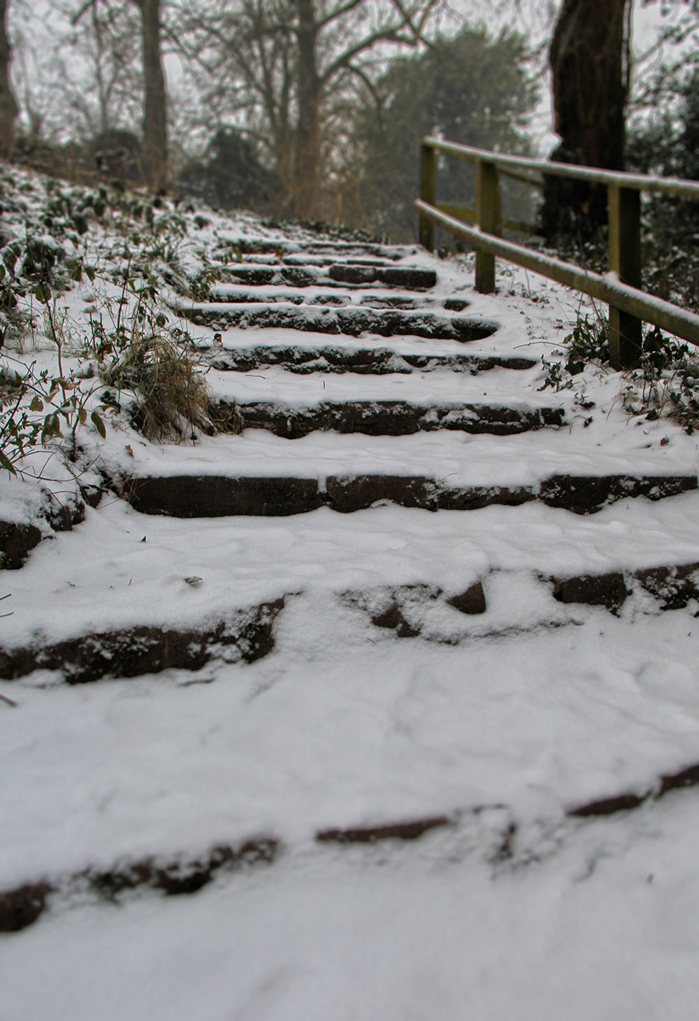 WP_snow_steps
