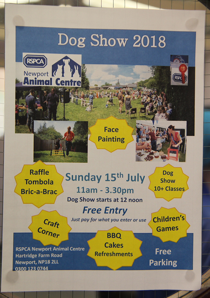 Dog Show 2018 poster