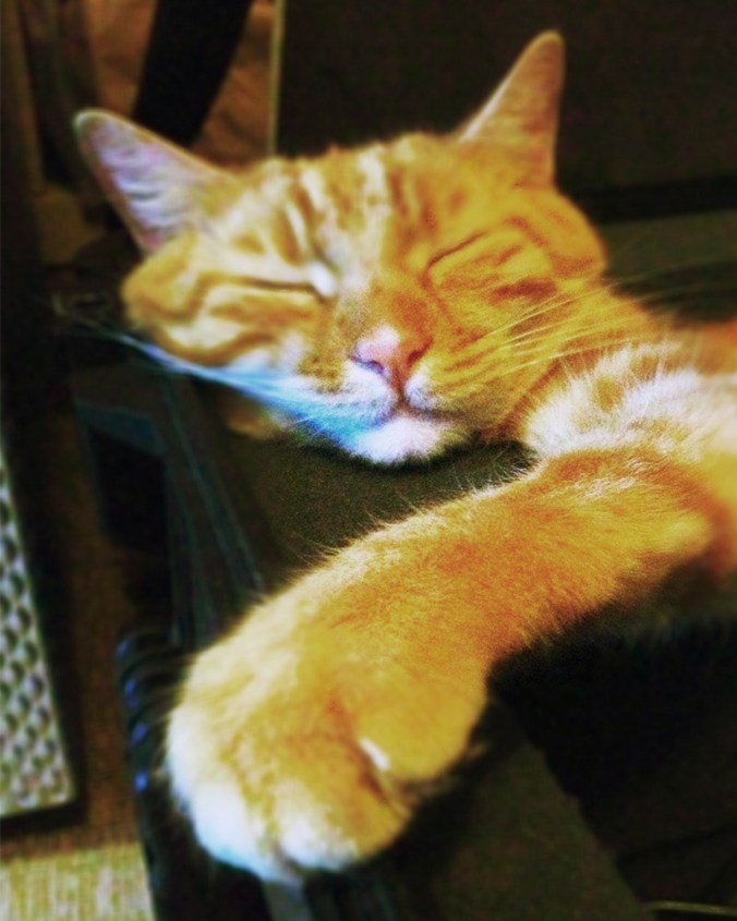 Samson