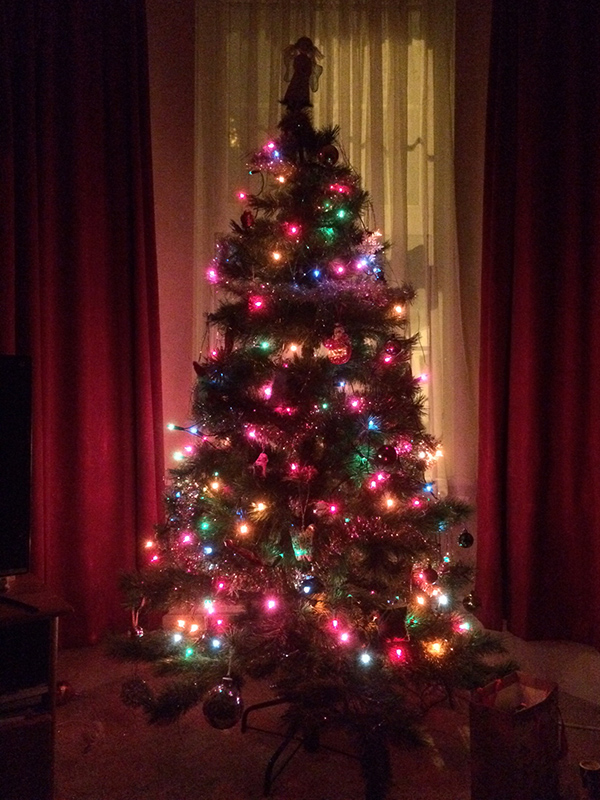 Indoor tree