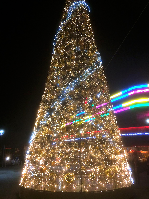 Newport tree 2