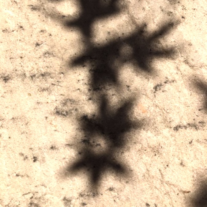 shadows 2A