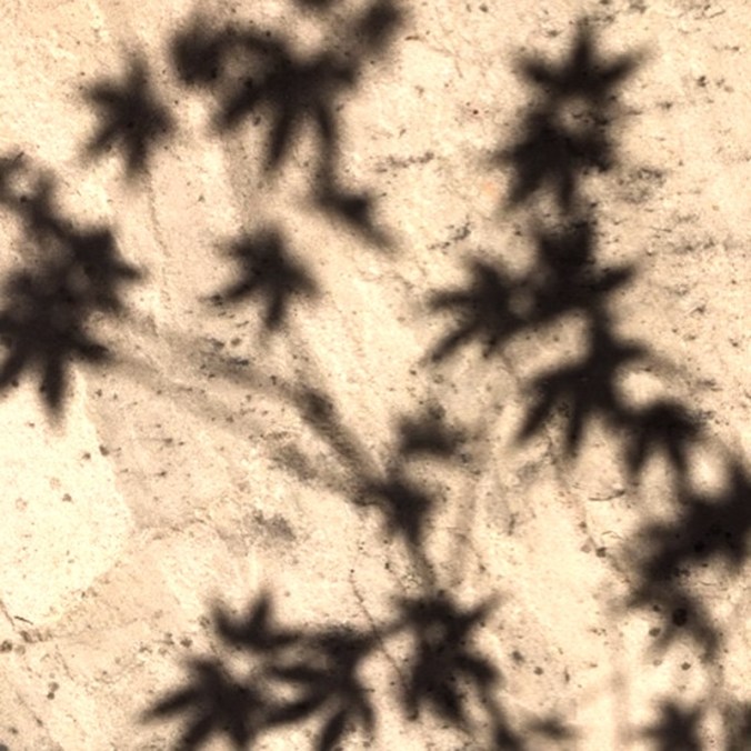 shadows 6A